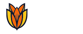 Bloom.host Server Status