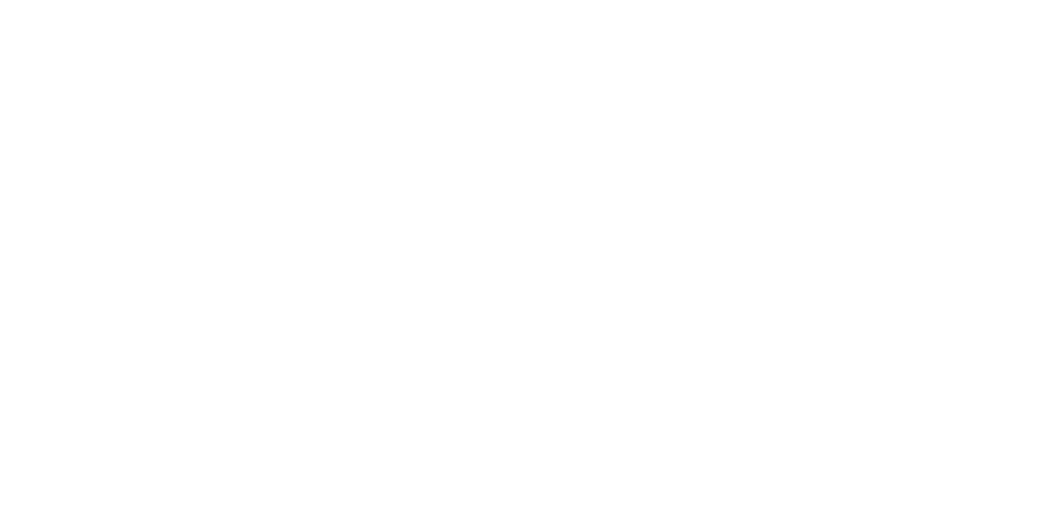 MICHEL ALMEIDA TI - Status