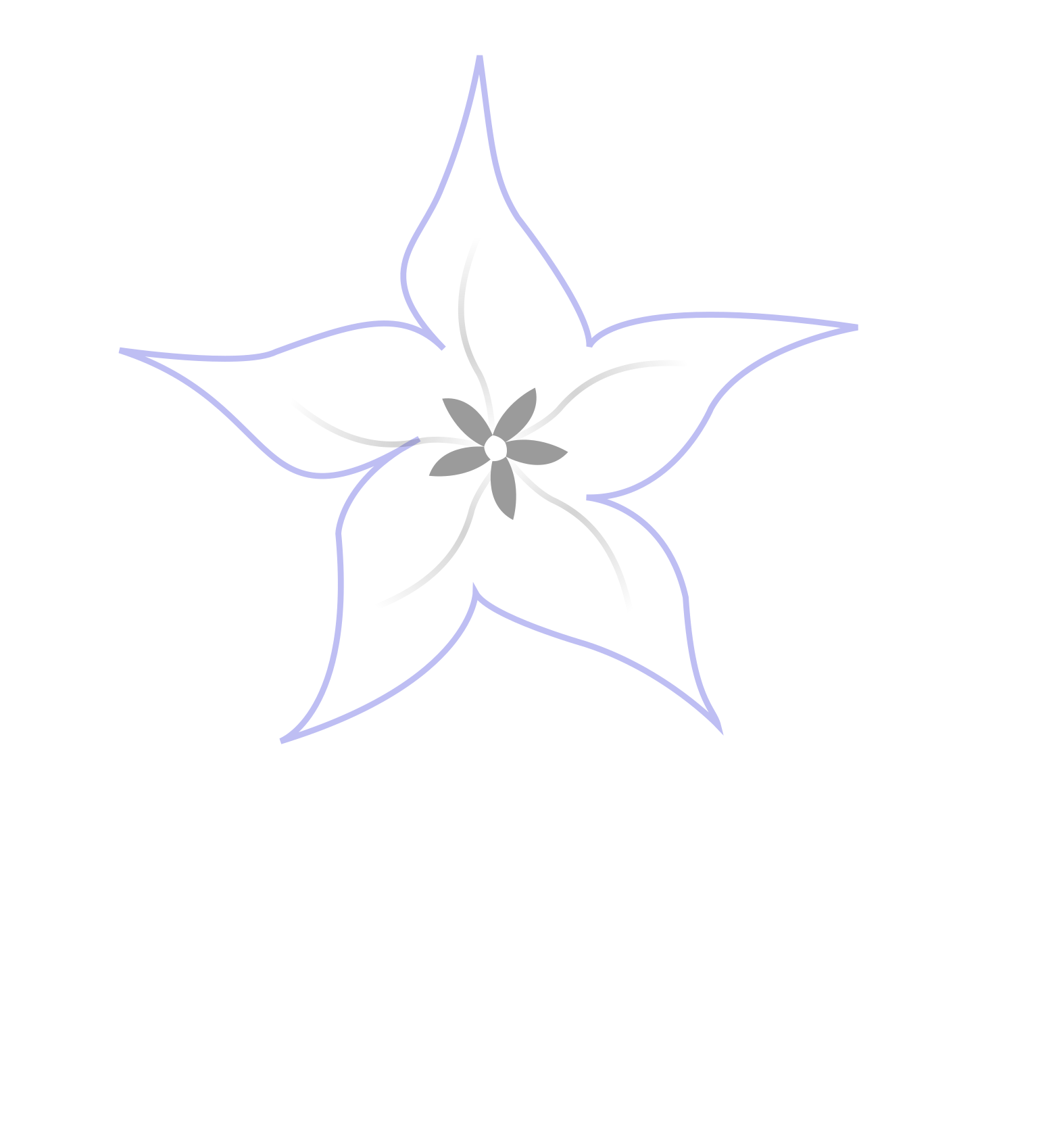Windblume Network Monitoring